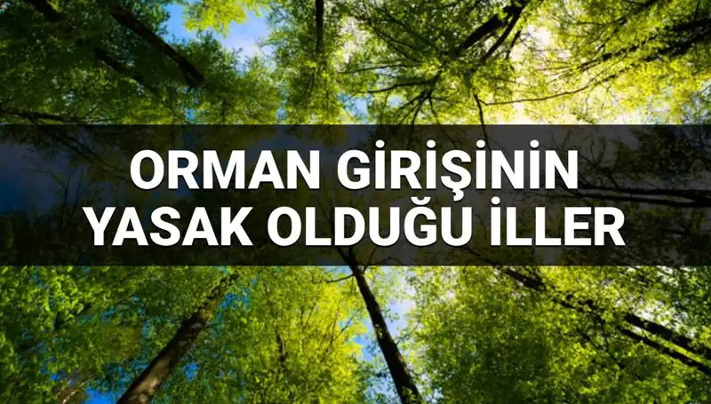 2025 Yılı İçin Orman Girişinin Yasaklandığı İller Belli Oldu!