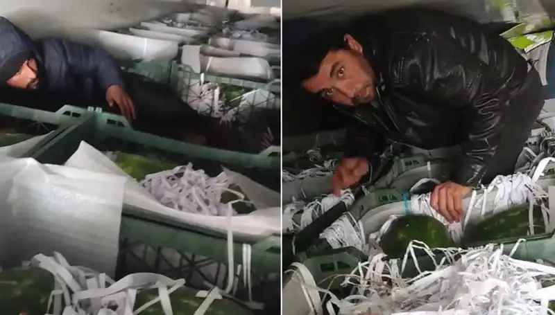 Sıcak Yaz Günlerinde Karpuzların Arasından Göçmenler Çıktı: Olayın Ardındaki Gerçekler Neler?