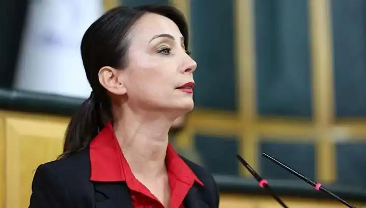 Öcalan'ın Silah Bırakma Çağrısı: DEM Partisi Siyasi Turuna Çıkıyor
