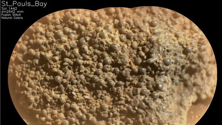 Mars'ta Garip Keşif: Bilim İnsanları Örümcek Yumurtaları Buldu mu?