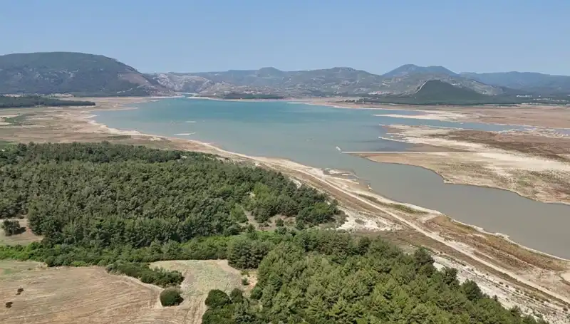 İzmir'de Tehlike Çanları Çalıyor: Geçmişe Göre Yüzde 50 Düşüş!