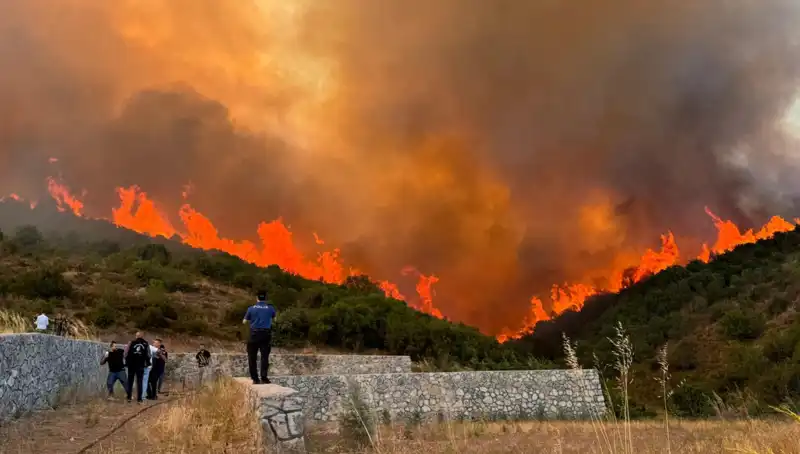Bursa, Kocaeli ve İzmir'de Orman Yangınları Hayatı Olumsuz Etkiliyor