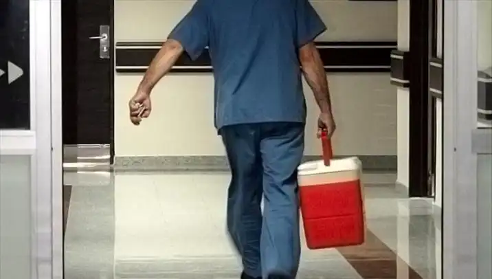 Organ Bağışında Yeni Dönem: e-Devlet ile Kolaylık Artıyor