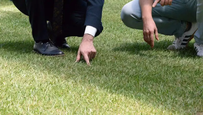 Stadyum Zeminindeki Tartışmalar Sona Eriyor: 10 Gün İçinde Hazır Olacak