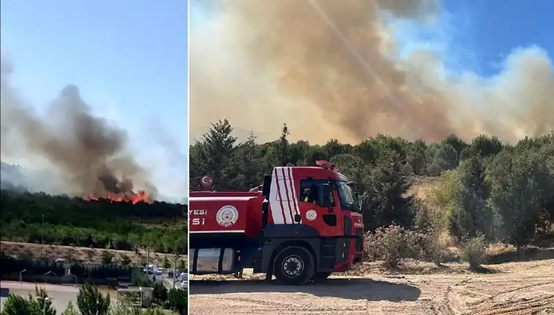 Gebze Orman Yangını: Yangının Sebepleri ve Alınan Önlemler