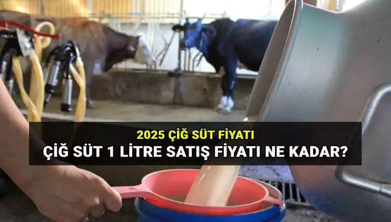 2025 Yılı İçin Çiğ Süt Fiyatları: Tüketiciyi Ne Bekliyor?
