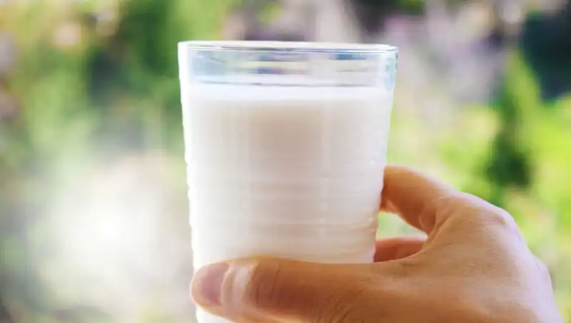 Uzman Doktordan Sütle İlgili Şaşırtan Açıklama: Şişkinliğe Neden Olabilir mi?